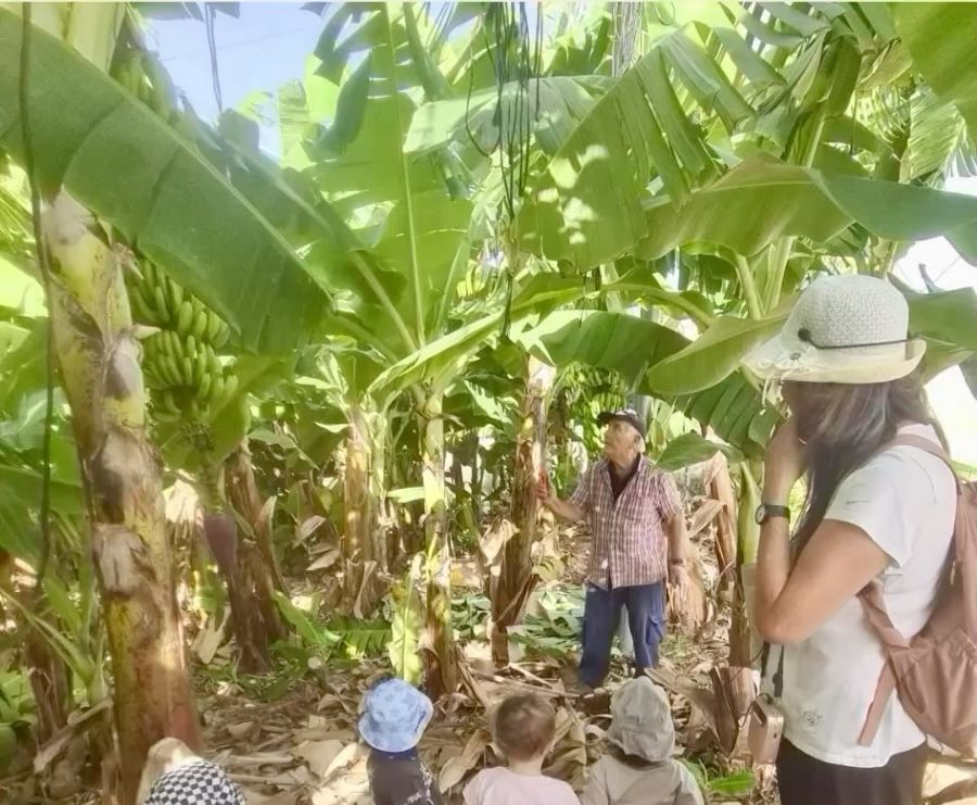 קבוצת ילדים במטע בננות